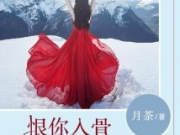 恨你入骨爱你成劫全文章节目录 慕伊伊唐锦宸小说结局是什么？
