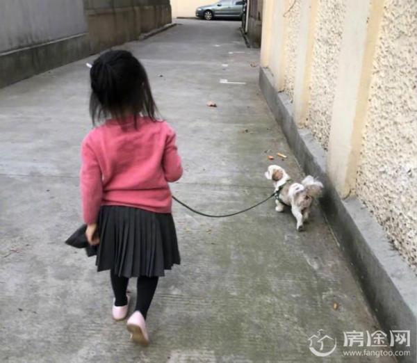 邓超女儿遛狗照引围观