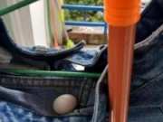 女大学生阳台晒2天裤子 收回时发现多了颗蛋(图)