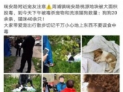 上海周浦镇一小区17只猫狗死亡原因：系随意丢蟑螂药