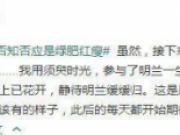 赵丽颖工作室宣布颖宝将进入休整期  疑似因拍戏致腰伤复发？
