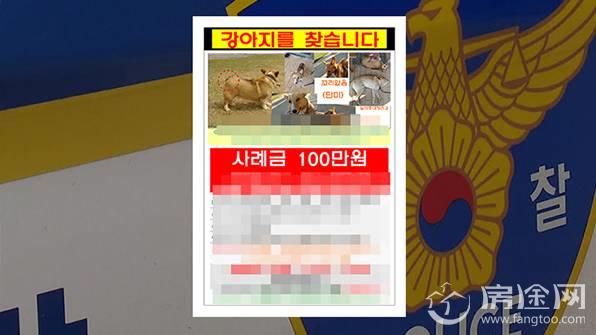 女子悬赏100万韩元找柯基