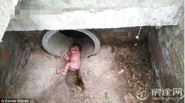 新生儿被弃防洪沟 女婴留着脐带周围全是蚂蚁被救全过程曝光