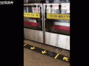 女子被夹地铁屏蔽门与车厢间 地铁疾驶而过(图)