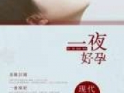 一夜好孕免费阅读 盛云洲陆紫萱全文阅读