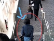 网友日本偶遇王菲独自旅行 手拉行李箱走路带风